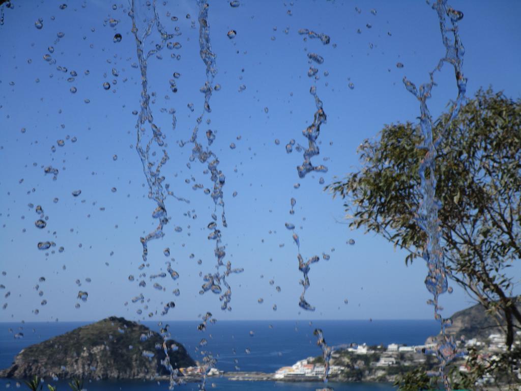Hotel Villa Al Mare バラーノ・ディスキア エクステリア 写真