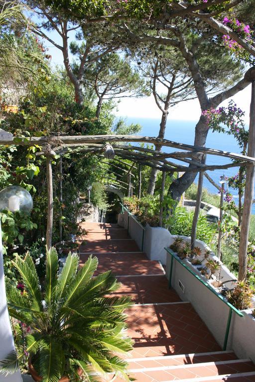 Hotel Villa Al Mare バラーノ・ディスキア エクステリア 写真